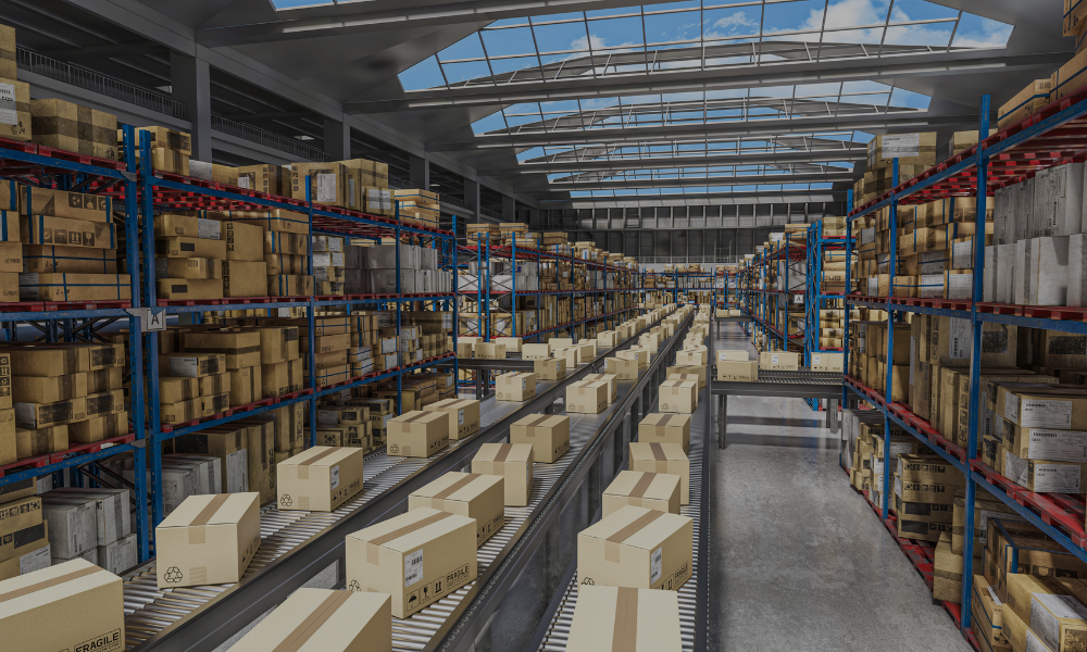 Warehouse & Procurement Transformation: From Firefighting to Strategic Supply Chain Performance